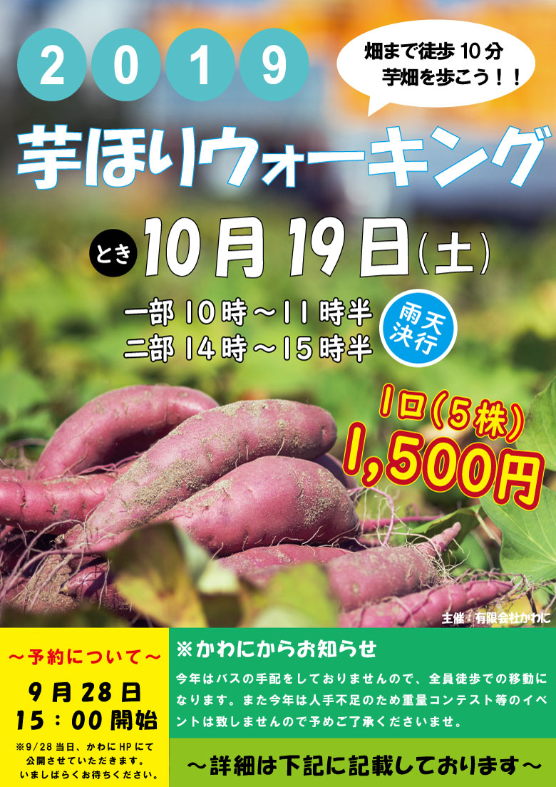 芋掘り　HPお知らせ1